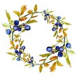 Watercolor illustration of beautiful autumn wreath with blue berries and huckleberry with colorful leaves for design on white isolated background
