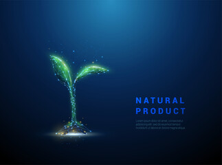 Green low poly style growing plant sprout.