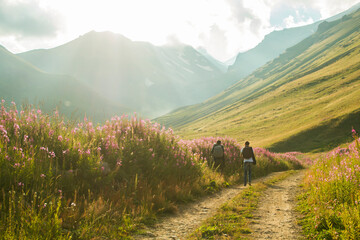 Wall Mural - two are walking along the road to the top