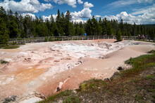 Tourists Watch The Fountain Paint Pots And Mud Pots In Yellowstone National Park