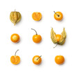Collection of physalis berries isolated on white background