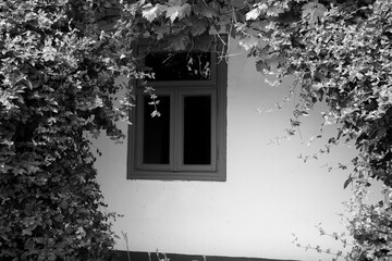 Wall Mural - wooden door and window of the traditional country house