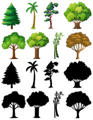 Poster - Set of plant and tree with its silhouette