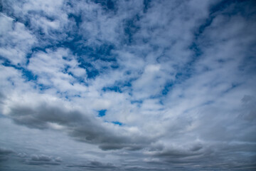 Wall Mural - 青空