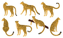 Set Of Abstract Silhouettes Of Leopards. Vector Hand Draw Design.