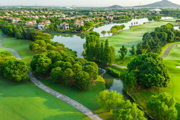 Wall Mural - Aerial view of green grass and tree on golf course.