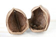 Two hazelnut filbert empty halves without nut inside on shabby white painted wooden background