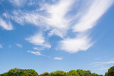 Fototapeta Na sufit - 青空と雲
