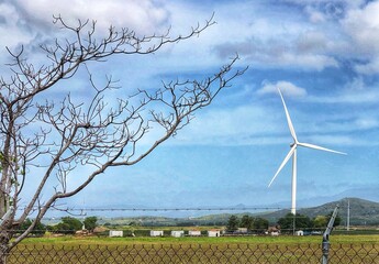 wind turbine in the field