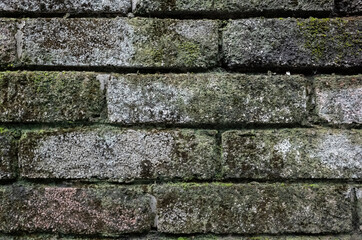 Wall Mural - rough stone brick wall with lichen and moss