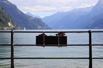 Wall Mural - Flower box by the lake