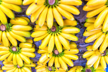 Wall Mural - Bunch of yellow bananas on farm market