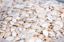 Lots Of White Pumpkin Seeds For Sale