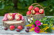 Äpfel mit Herz und Weidenkorb als Dekoration für den Herbst