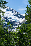 Fototapeta  - Summer glacier