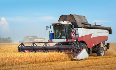 Wall Mural - Combine harvesting working on the field