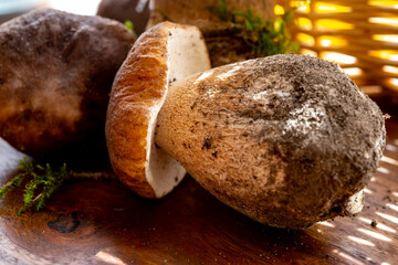 Wall Mural - King of edible mushrooms, boletus edulis porcini cepe ready to cook in pasta or ravioli