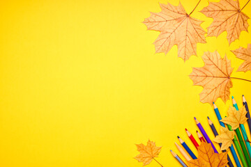 Wall Mural - education and stationery concept. above view for yellow desk. decorated fall leaves and color pencils, markers and other tools. empty space for design