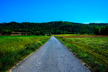 asphalt grass sky