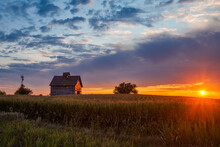 A Low Sun Warms An Old, Weathered Barn On A Corn Field In Rural America