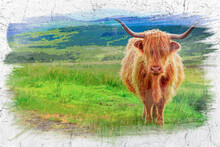 Brown Highland Cow In Isle Of Skye, Scotland, Watercolor Painting