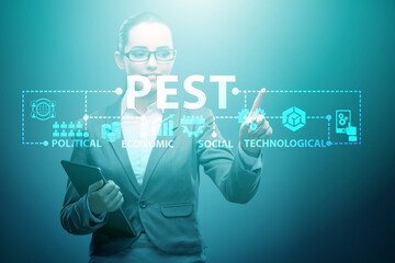 Business people in PEST analysis business concept