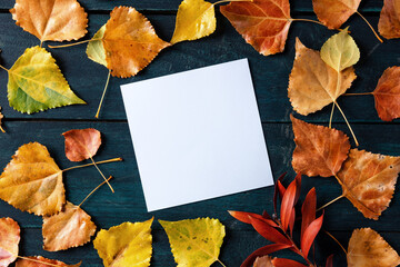 Poster - Blank square card on a background of autumn leaves, fall stationery mockup, overhead flat lay shot on a dark blue wooden background