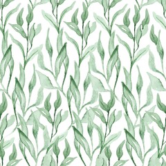 Wall Mural - Watercolor leaves Seamless pattern. Summer floral plant vector watercolor background.