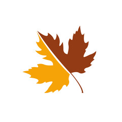 Wall Mural - maple leaf logo icon design template vector