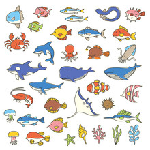 Collection Of Illustrations Of A Pretty Fish,