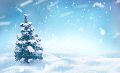 Poster - Beautiful winter snowy background. Snow-covered fir tree  in forest in snowdrifts in snowfall against blue sky on nature outdoors.