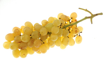 Glass branch of white grapes as decoration