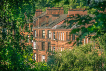 A Leafy Street With Traditional Red Sandstone Tenement Flats In Glasgow Scotland