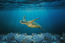 Sea Turtle Swimming In Ocean Invaded By Plastic Bottles. Pollution In Oceans Concept.