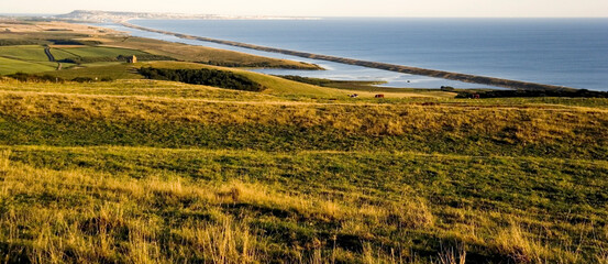 Poster - Chesil Beach Dorset England UK