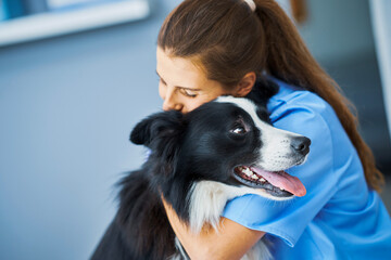 Female vet examining a dog in clinic