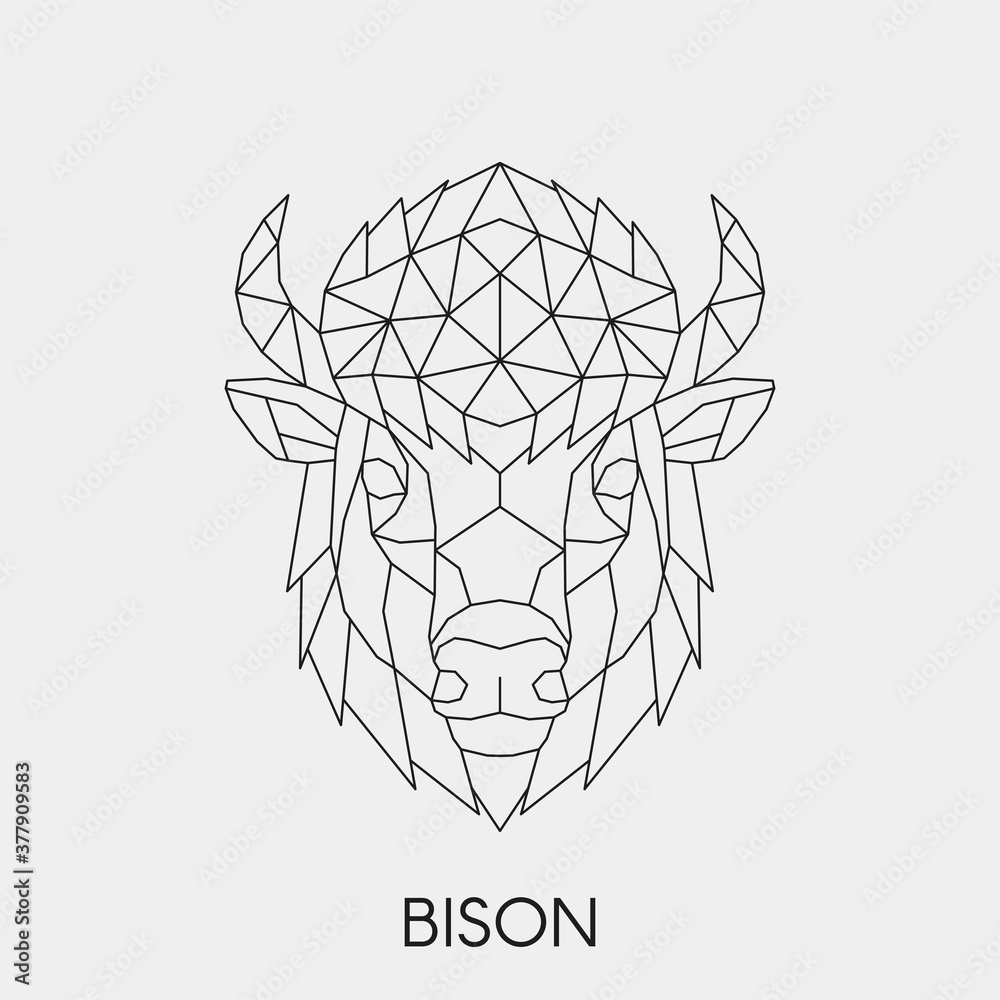 Geometric linear head bison. Abstract polygonal animal. Vector ...
