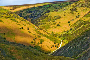 Poster - Scenic Landscape Rift Valley Long Mynd Shropshire England UK