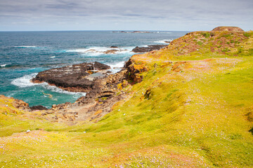 Poster - The Nobbies Landscape at Philip Island