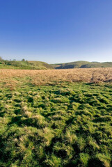 Wall Mural - long mynd rift valley shropshire england uk