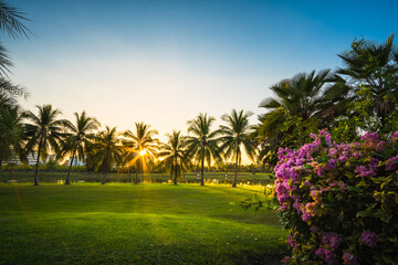 Sticker - Green grass field with palm tree in Public Park