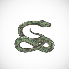 Wall Mural - hand drawn colorful halloween scary snake vector illustration. abstract animal or reptile sketch. ho