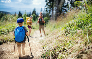 Wall Mural - rear view of small boy with family hiking outdoors in summer nature.