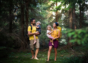 Wall Mural - family with small children walking barefoot outdoors in summer nature.