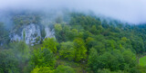 Fototapeta Tęcza - Beech forest in the surroundings of the Sierra de Hornijo near Ramales de la Victoria in the Autonomous Community of Cantabria. Spain, Europe