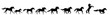 Horses running silhouette vector illustration. Herd of stallions.