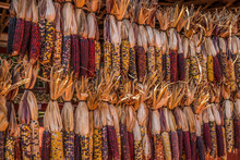 Colorful Indian Corn Closeup
