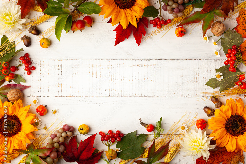 Autumn frame with wheat ears, sunflowers, leaves and berries on white wooden table. Flat lay, copy space. Concept of fall harvest or Thanksgiving day. - obrazy, fototapety, plakaty 