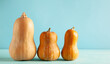 Butternut squash pumpkins on pastel blue background with copy space. Concept celebration of Halloween or Thanksgiving.
