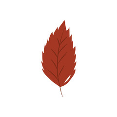 Wall Mural - autumn leaves concept, elm leaf icon, flat style